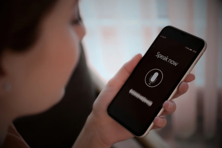 Voice search & AI optimization