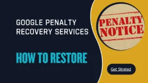 Google penalty recovery services